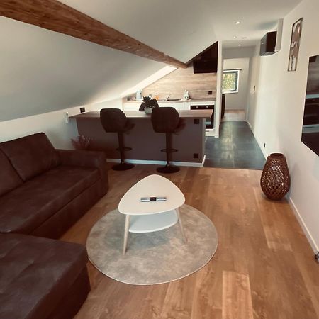 Scandinavian Appartement Saint-Avold Zewnętrze zdjęcie
